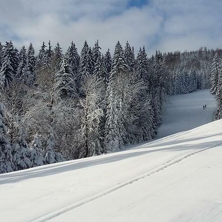 Apartmán Medvědín 109 Špindlerŭv Mlýn Exteriér fotografie